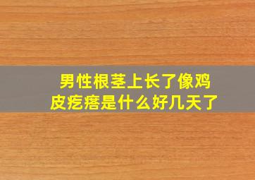 男性根茎上长了像鸡皮疙瘩是什么好几天了