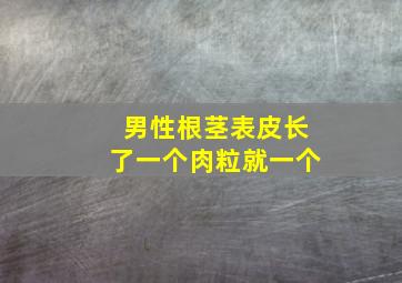 男性根茎表皮长了一个肉粒就一个