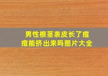 男性根茎表皮长了痘痘能挤出来吗图片大全