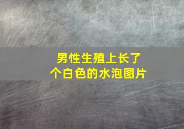 男性生殖上长了个白色的水泡图片