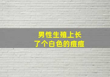 男性生殖上长了个白色的痘痘