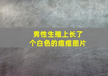 男性生殖上长了个白色的痘痘图片