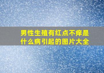 男性生殖有红点不痒是什么病引起的图片大全