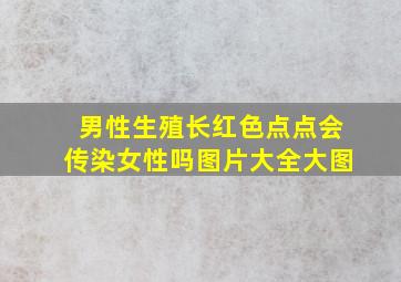 男性生殖长红色点点会传染女性吗图片大全大图