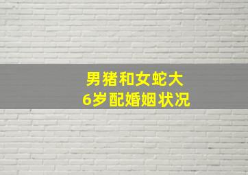 男猪和女蛇大6岁配婚姻状况