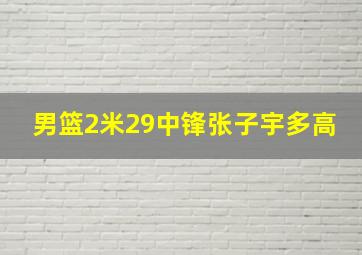 男篮2米29中锋张子宇多高