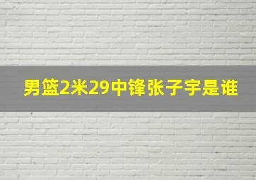 男篮2米29中锋张子宇是谁