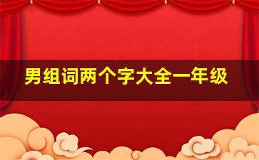 男组词两个字大全一年级