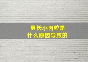 男长小肉粒是什么原因导致的