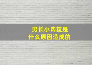 男长小肉粒是什么原因造成的