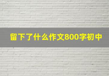 留下了什么作文800字初中