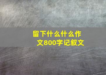 留下什么什么作文800字记叙文