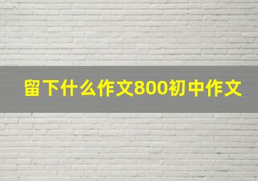 留下什么作文800初中作文