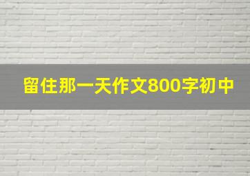 留住那一天作文800字初中