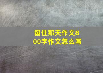 留住那天作文800字作文怎么写