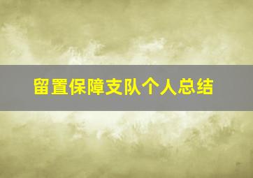 留置保障支队个人总结