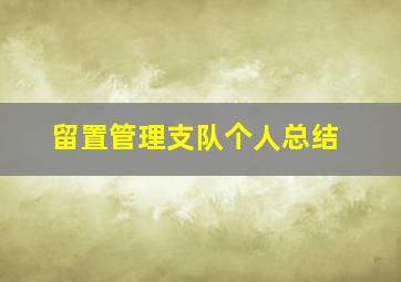 留置管理支队个人总结