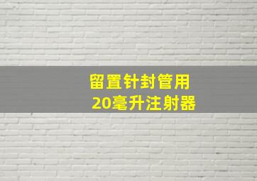 留置针封管用20毫升注射器