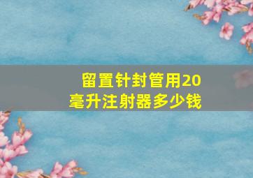 留置针封管用20毫升注射器多少钱