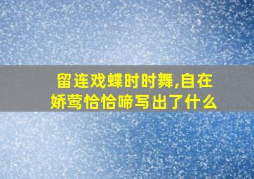 留连戏蝶时时舞,自在娇莺恰恰啼写出了什么