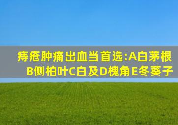 痔疮肿痛出血当首选:A白茅根B侧柏叶C白及D槐角E冬葵子