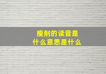 瘦削的读音是什么意思是什么