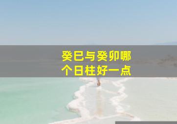 癸巳与癸卯哪个日柱好一点