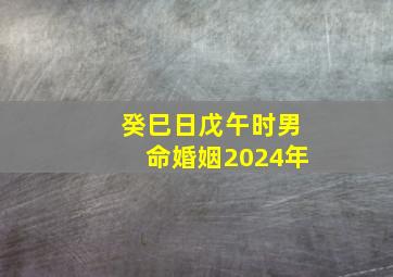 癸巳日戊午时男命婚姻2024年