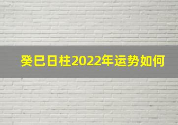 癸巳日柱2022年运势如何