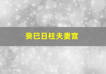 癸巳日柱夫妻宫