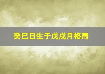 癸巳日生于戊戌月格局