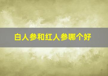 白人参和红人参哪个好