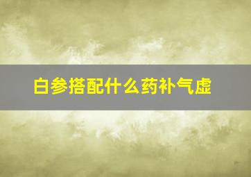 白参搭配什么药补气虚