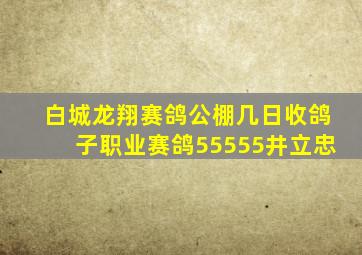 白城龙翔赛鸽公棚几日收鸽子职业赛鸽55555井立忠