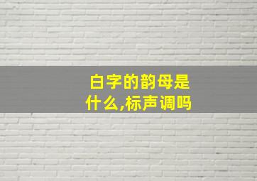 白字的韵母是什么,标声调吗