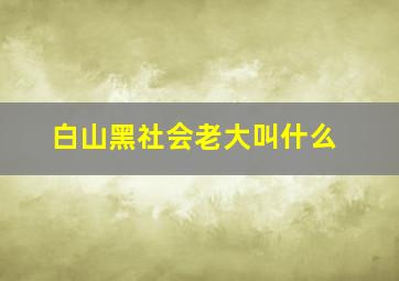 白山黑社会老大叫什么