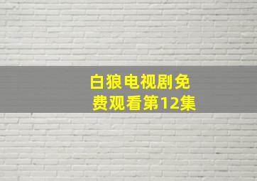 白狼电视剧免费观看第12集