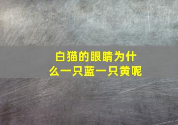 白猫的眼睛为什么一只蓝一只黄呢