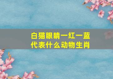 白猫眼睛一红一蓝代表什么动物生肖