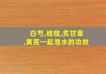 白芍,桂枝,炙甘草,黄芪一起泡水的功效