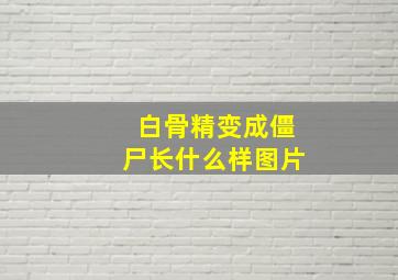 白骨精变成僵尸长什么样图片