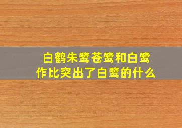 白鹤朱鹭苍鹭和白鹭作比突出了白鹭的什么