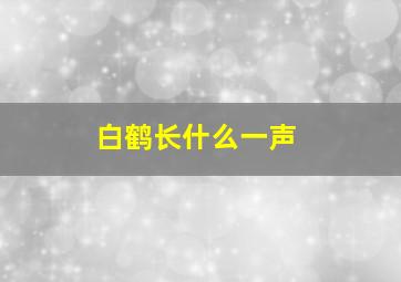 白鹤长什么一声