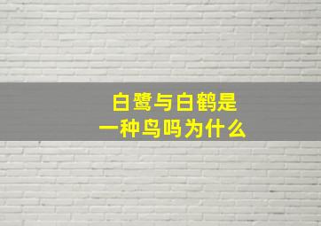 白鹭与白鹤是一种鸟吗为什么