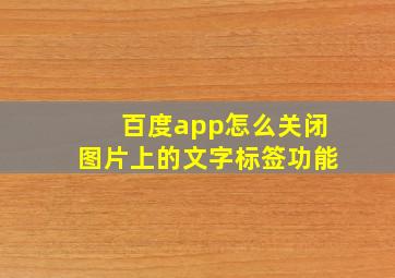 百度app怎么关闭图片上的文字标签功能