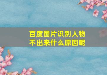 百度图片识别人物不出来什么原因呢