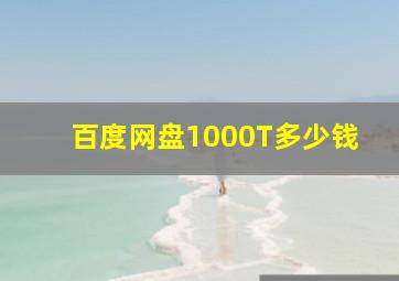 百度网盘1000T多少钱