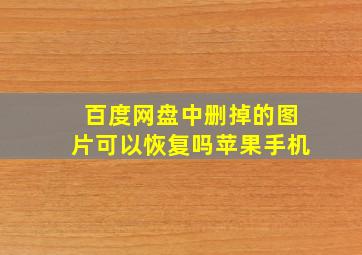 百度网盘中删掉的图片可以恢复吗苹果手机