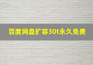 百度网盘扩容30t永久免费