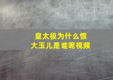 皇太极为什么恨大玉儿是谁呢视频